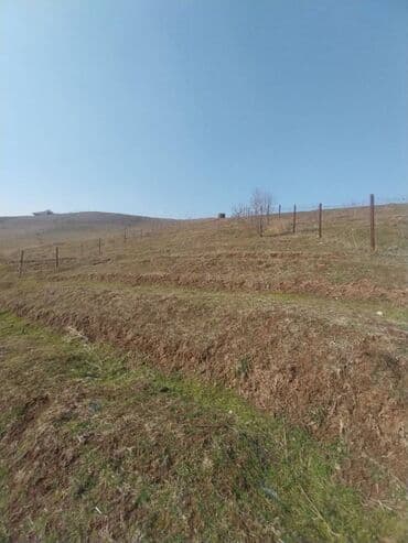 Дома: Хонаи фуруши дар Хисор 2 этажа, 3 подвал, 6 дар хона. (4 та спальни, 2 — 20